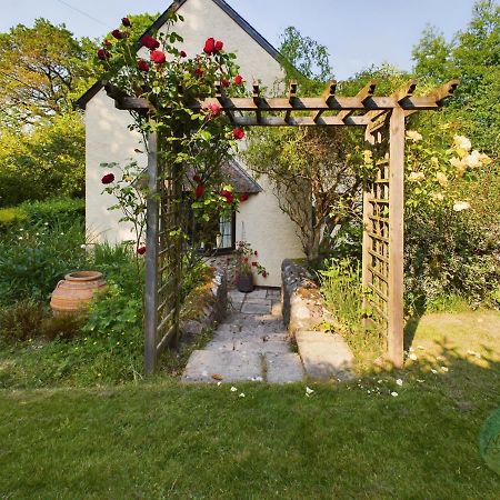 Willa Sundowner - Axminster Devon Zewnętrze zdjęcie